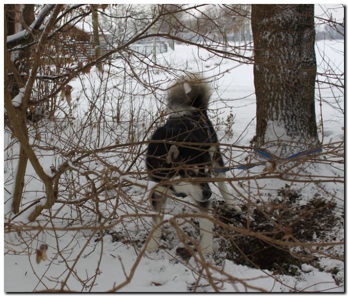 Grenzlandtour I 022.jpg